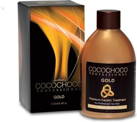 Brasiilia keratiin juuste sirgendamiseks Cocochoco Gold, 250 ml цена и информация | Средства для укладки волос | kaup24.ee