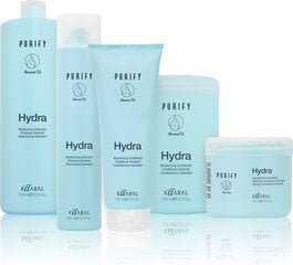 Niisutav šampoon kuivadele juustele Purify Hydra, 300 ml цена и информация | Шампуни | kaup24.ee