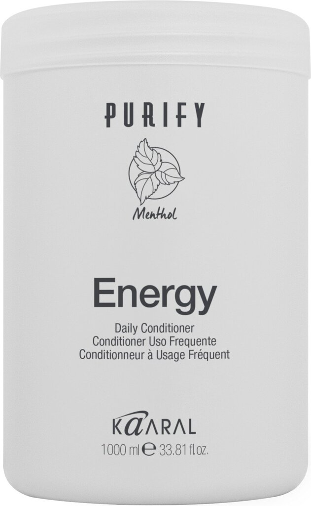 Toniseeriv palsam mentooliga Purify Energy, 1000 ml цена и информация | Juuksepalsamid | kaup24.ee