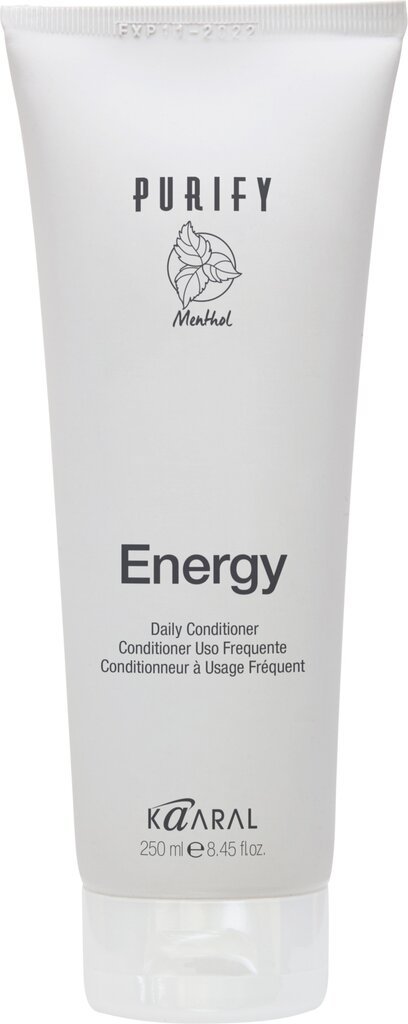 Toniseeriv palsam mentooliga Purify Energy, 250 ml цена и информация | Juuksepalsamid | kaup24.ee