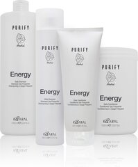 Toniseeriv šampoon mentooliga Purify Energy, 300 ml цена и информация | Шампуни | kaup24.ee