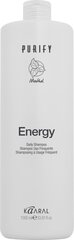 PURIFY ENERGY ❖ Тонизирующий шампунь с ментолом, 1000 мл цена и информация | Шампуни | kaup24.ee