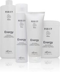 Toniseeriv šampoon mentooliga Purify Energy, 1000 ml hind ja info | Šampoonid | kaup24.ee