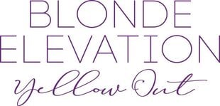 BLOND ELEVATION Yellow Out Bi-phaze - Двухфазный кондиционер, тонирующий для холодных оттенков, 200 мл цена и информация | Кондиционеры | kaup24.ee