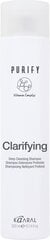 CLARIFYING - Глубоко очищающий хелатный детоксицирующий профессиональный шампунь (300 мл) цена и информация | Шампуни | kaup24.ee