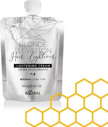 Pleegitav juuksekreem Blond Elevation, 250 g hind ja info | Juuksevärvid | kaup24.ee