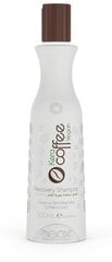 Toitev ja niisutav šampoon kohviekstraktiga Keracoffee Vegan, 300 ml hind ja info | Šampoonid | kaup24.ee
