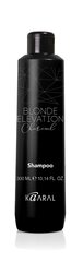 Musta söega šampoon heledamatele, pleegitatud pruunidele juustele Charcoal, 300 ml hind ja info | Šampoonid | kaup24.ee