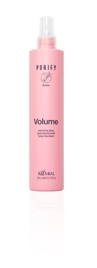 Pähejäetav sprei Volume Volumising Spray, 300 ml hind ja info | Viimistlusvahendid juustele | kaup24.ee