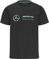 Футболка Mercedes AMG Petronas F1 Stealth Logo 69254-4 цена и информация | Мужские футболки | kaup24.ee