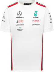 Футболка Mercedes AMG Petronas F1 Large Logo 69249-7 цена и информация | Мужские футболки | kaup24.ee