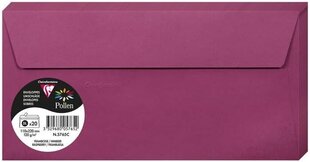 Декоративный конверт Pollen, Clairefontaine, DL (110x220мм), 120г/м2, малина цена и информация | Конверты, открытки | kaup24.ee