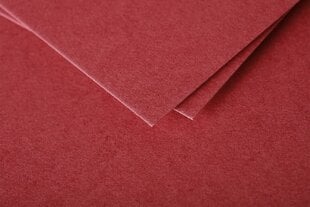 Декоративный конверт Pollen, Clairefontaine, DL (110x220мм), 120г/м2, ярко-красный цена и информация | Конверты, открытки | kaup24.ee