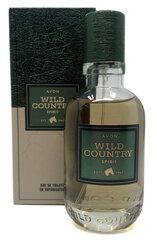 Tualettvesi Avon Wild Country Spirit EDT meestele, 75 ml цена и информация | Мужские духи | kaup24.ee