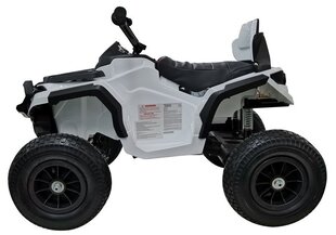 QUAD neljarattaline, valge hind ja info | Laste elektriautod | kaup24.ee