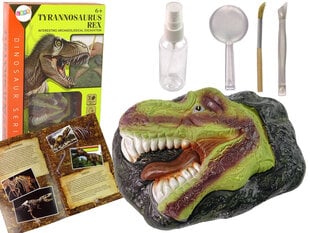 Arheoloogi väljakaevamiskomplekt, dinosaurus цена и информация | Развивающие игрушки | kaup24.ee
