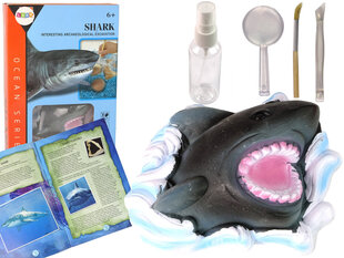 Образовательный набор, акула цена и информация | Развивающие игрушки | kaup24.ee