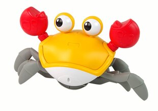 Liikuv krabi heliefektidega, oranž hind ja info | Arendavad mänguasjad | kaup24.ee