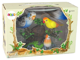 Interaktiivsed papagoid цена и информация | Развивающие игрушки | kaup24.ee