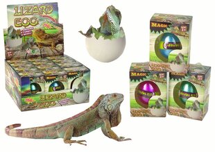 Magic Lizard Egg, 6 cm, 1 tk. цена и информация | Развивающие игрушки | kaup24.ee