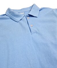 Polo särk poistele цена и информация | Рубашки для мальчиков | kaup24.ee