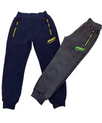 Спортивные штаны для мальчиков цена и информация | Шорты для мальчиков | kaup24.ee