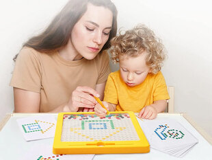 Haridusotstarbeline magnetiline tahvel koos pinsidega цена и информация | Развивающие игрушки | kaup24.ee