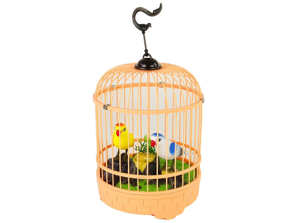 Papagoid hõõguvas oranžis puuris hind ja info | Poiste mänguasjad | kaup24.ee