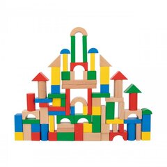 Деревянные цветные пазлы TOOKY TOY, 100 шт. цена и информация | Развивающие игрушки и игры | kaup24.ee