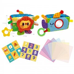Õppemänguasja pluusi karp Woopie hind ja info | Imikute mänguasjad | kaup24.ee