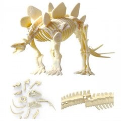 Fossiilide kaevamise komplekt Woopie, Stegosaurus hind ja info | Arendavad mänguasjad | kaup24.ee