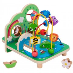 Metsa labürint Tooky Toy цена и информация | Развивающие игрушки | kaup24.ee