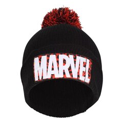 Müts meestele Marvel 202310 цена и информация | Мужские шарфы, шапки, перчатки | kaup24.ee