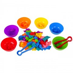 Hariduslike värvide sorteerimismäng Woopie 65 tk, meri hind ja info | Arendavad mänguasjad | kaup24.ee