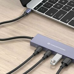 Conceptronic HUBBIES13G цена и информация | Адаптеры и USB-hub | kaup24.ee