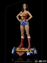 DC Comics Deluxe Art Scale Wonder Woman цена и информация | Атрибутика для игроков | kaup24.ee