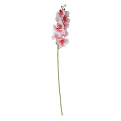 Kunstlill Magnoolia Flowerly hind ja info | Kunstlilled | kaup24.ee