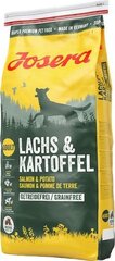 Josera Lach lõhe ja kartuliga, 5x900 g hind ja info | Kuivtoit koertele | kaup24.ee