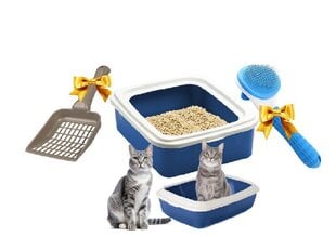 Avatud kassiliivakast Savic Belsi liivakulbi ja harjaga koerte/kasside kammimiseks hind ja info | Liivakastid kassidele | kaup24.ee