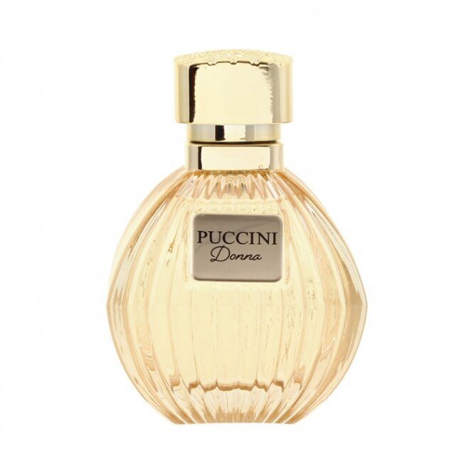 Parfüümvesi Puccini Donna EDP, naistele, 100 ml цена и информация | Naiste parfüümid | kaup24.ee