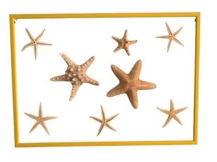 Настенное украшение Морские звезды цена и информация | Детали интерьера | kaup24.ee