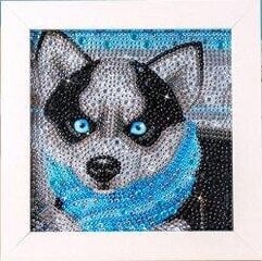 Teemanditikand Husky 18x18 cm (kaasas raam) цена и информация | Алмазная мозаика | kaup24.ee