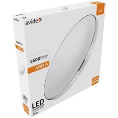 LED Потолочный светильник Avide Amelia 18W цена и информация | Потолочные светильники | kaup24.ee