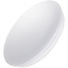 LED-laevalgusti Avide Emma 15W цена и информация | Потолочные светильники | kaup24.ee