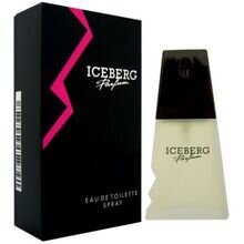 Iceberg Iceberg Femme EDT, 100ml цена и информация | Женские духи | kaup24.ee