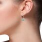 Hõbedast kõrvarõngad Amasoniit kiviga naistele I.L.U.S hind ja info | Kõrvarõngad | kaup24.ee