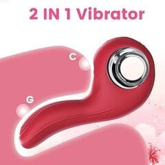 Vibraator 2in1 цена и информация | Вибраторы | kaup24.ee