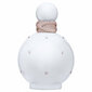 Lõhnavesi Britney Spears Fantasy Intimate Edition EDP naistele, 100 ml hind ja info | Naiste parfüümid | kaup24.ee