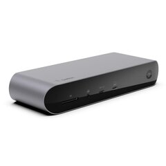 Belkin INC006VFSGY hind ja info | USB jagajad, adapterid | kaup24.ee