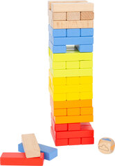 Puidust vikerkaarevärviline kõikuv torn Small Foot 55 el hind ja info | Arendavad mänguasjad | kaup24.ee